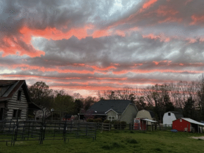 Blue Sky Farm Equestrian Bed & Breakfast